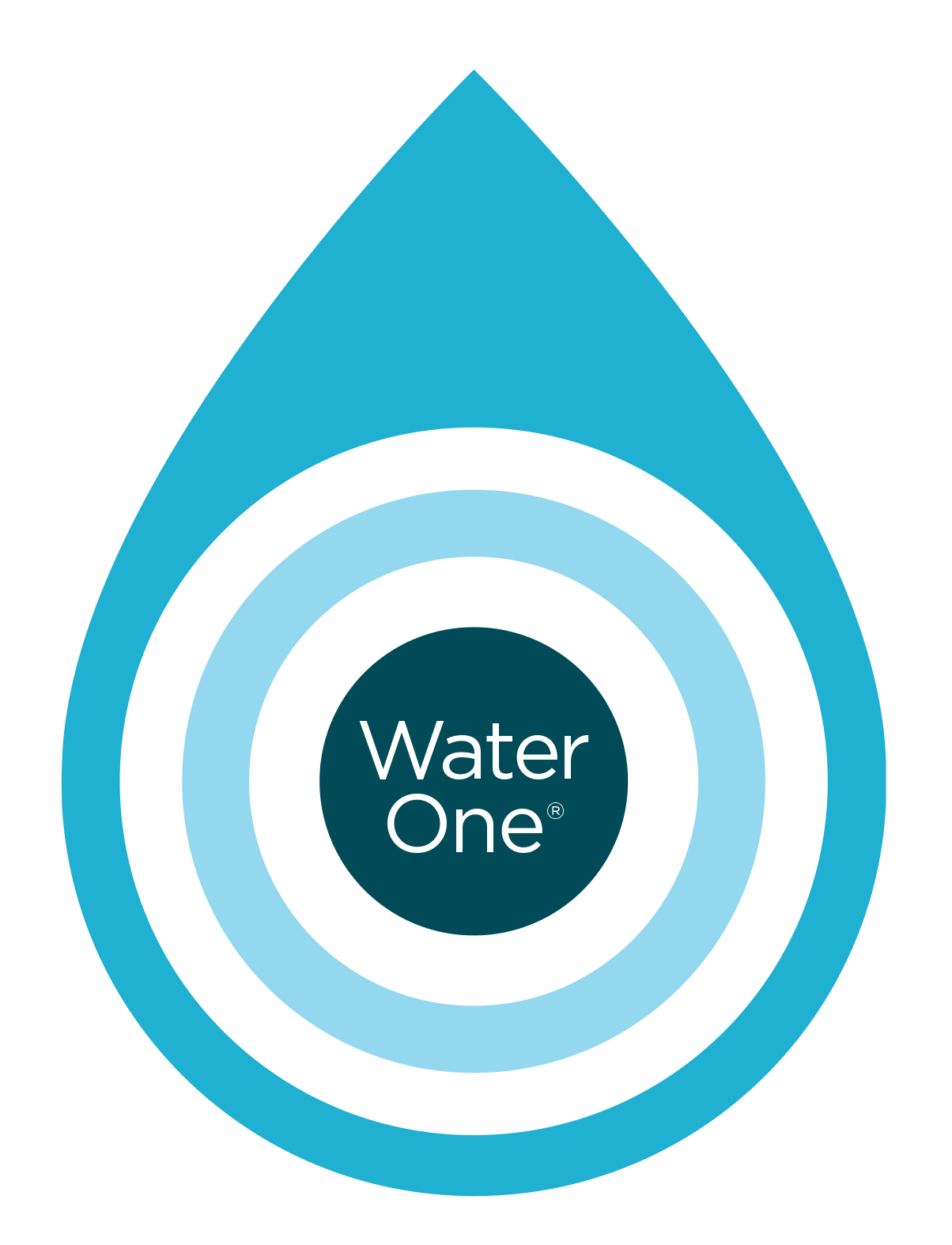 Evoqua's Water One service platform allows customers to outsource the management of their water treatment systems.