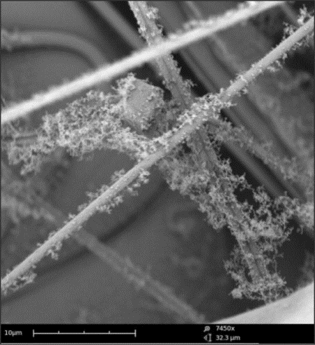 Figure 4: Dentritic structures on fibre surface after loading with soot nanoparticles.