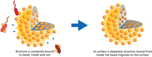 Figure 2. Schematic representation of HaloPure Br functions. Bromine atoms (orange) bind throughout the porous polystyrene beads, migrating to the surface as demand requires. Low levels of residual bromine can be imparted to the water flow for continued disinfection.