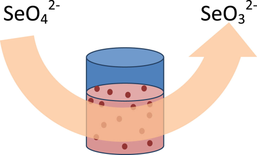 An open high-rate bioreactor is used to bio-reduce selenate in wastewater to selenite.