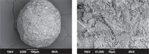 Figures 3a and 3b: Images of the rough engineered ceramic media ‘Macrolite’ show the highly irregular surface on a spherical particle.