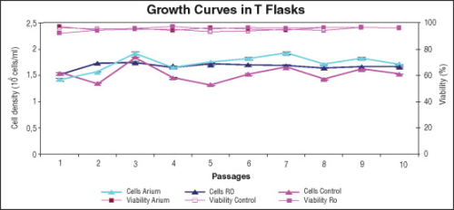 Figure 4: Growth curves of PER.C6 EpCAM cell lines in T-flasks.