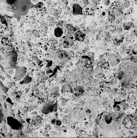 A close up of the vast surface area and macro-porous nature of Ceralite.