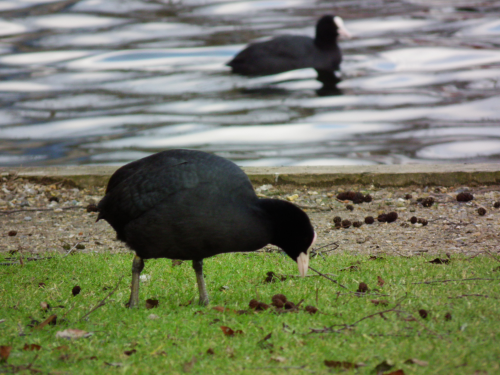 DynaSand filters are helping to preserve the fragile ecology of the Broads.