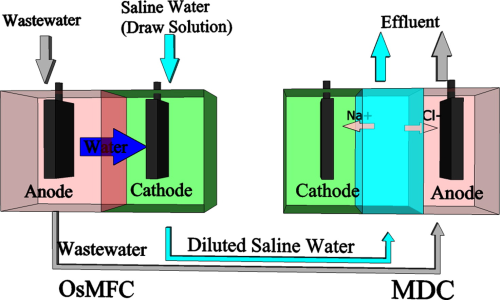 An osmotic microbial fuel cell (OsMFC) containing a forward-osmosis membrane, hydraulically coupled with a microbial desalination cell (MDC) with ion-exchange membranes, greatly improves desalination efficiency.