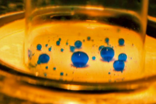 Tiny droplets of water, colored blue, are suspended in water on top of a membrane developed by the MIT team. Courtesy of the researchers.