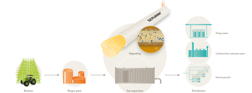 Figure 2: Biogas is produced by microbial fermentation of sustainable raw materials like corn, or from effluent sludge or liquid manure. Following separation of various minor components like water vapour, hydrogen sulphide, and particularly CO2, the biogas can then be used in the gas grid, in combined heat and power plants, and at filling stations.