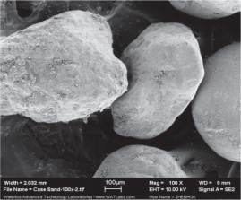 Figure 1: Typical 0.5 mm filter sand categorised as a sub-angular shape.