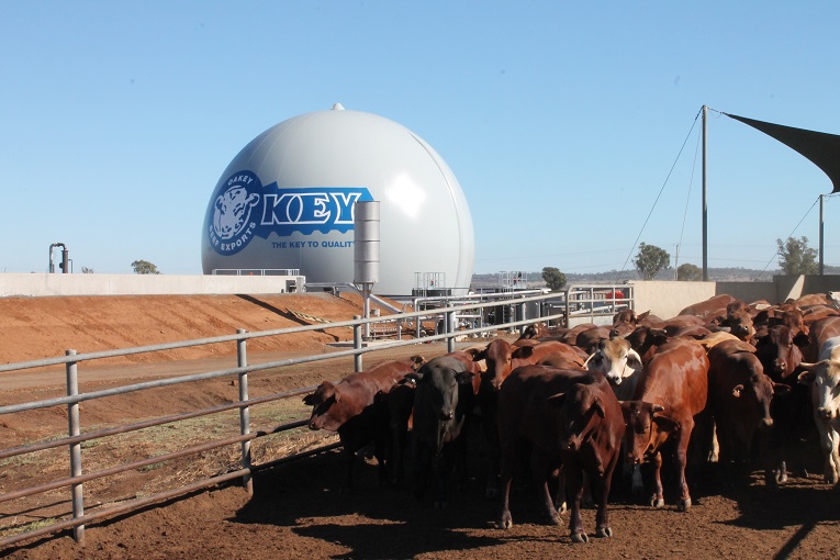 The COHRAL system’s gas balloon is providing cleaner wastewater effluent and a reduced carbon footprint.