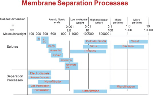 Figure 3. Scheme relating the membrane separation processes with the size of different solutes. R – resveratrol; C – catechin; EC – epicatechin; 3G AC – 3-monoglucosides anthocyanins; 3,5G AC – 3,5-diglucosides anthocyanins; PA – proanthocyanidins.