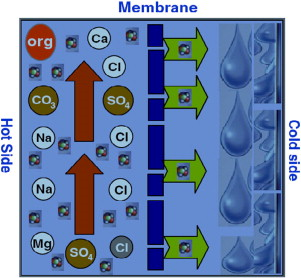 Membrane distillation (MD) uses a vapour pressure difference, created by a temperature gradient across a hydrophobic membrane, to produce high quality distilled water.