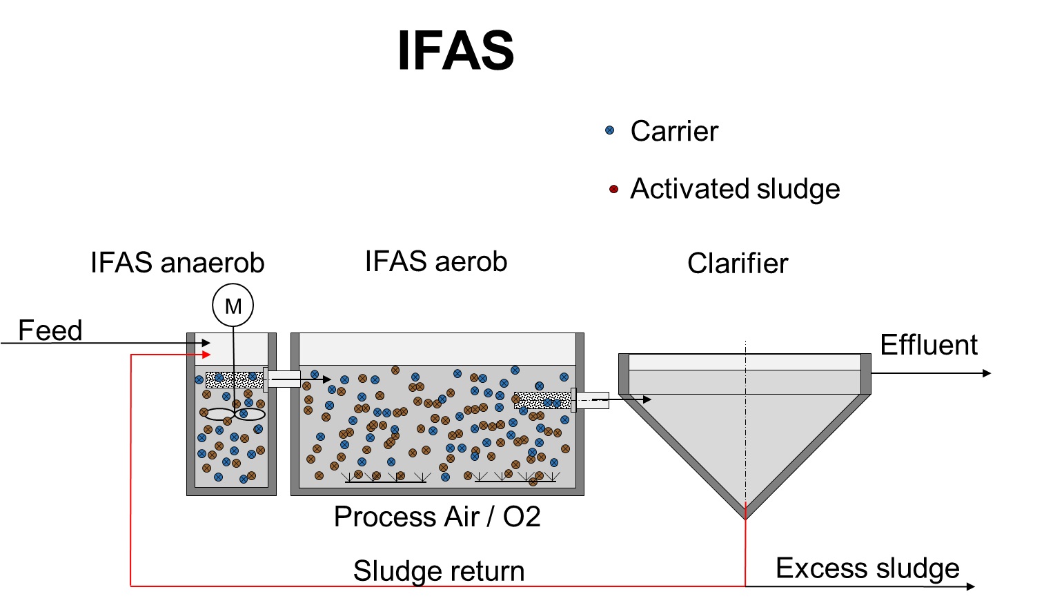 The integrated fixed film activated sludge (IFAS) system.
