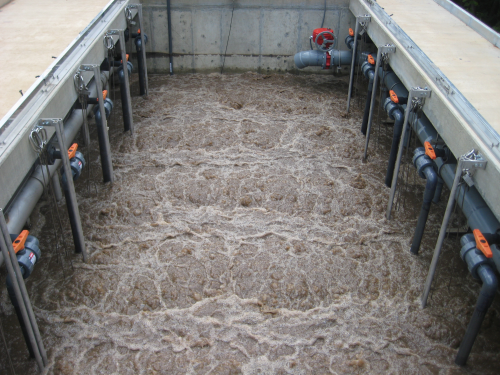 Aeration of activated sludge in one of the membrane tanks during operation.