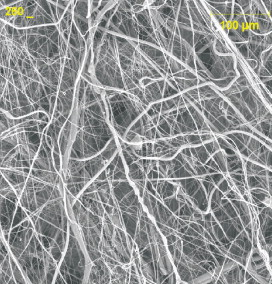 Figure 1. Top view of nanofibre coating, 260X.