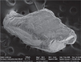 Figure 2: New 0.9 mm anthracite media, the crushed shape makes it angular and irregular with a visible external surface roughness dominated by 50 to 300 micron ‘pores’