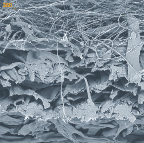 Figure 1. SEM cross-section of NANOWEB media on a cellulose substrate. (Courtesy of Hollingsworth & Vose Company).