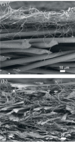 Figure 2: Scanning electron microscope (SEM) images.