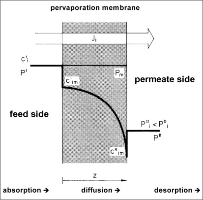Figure 1: Principle of mass transfer across pervaporation membranes.
