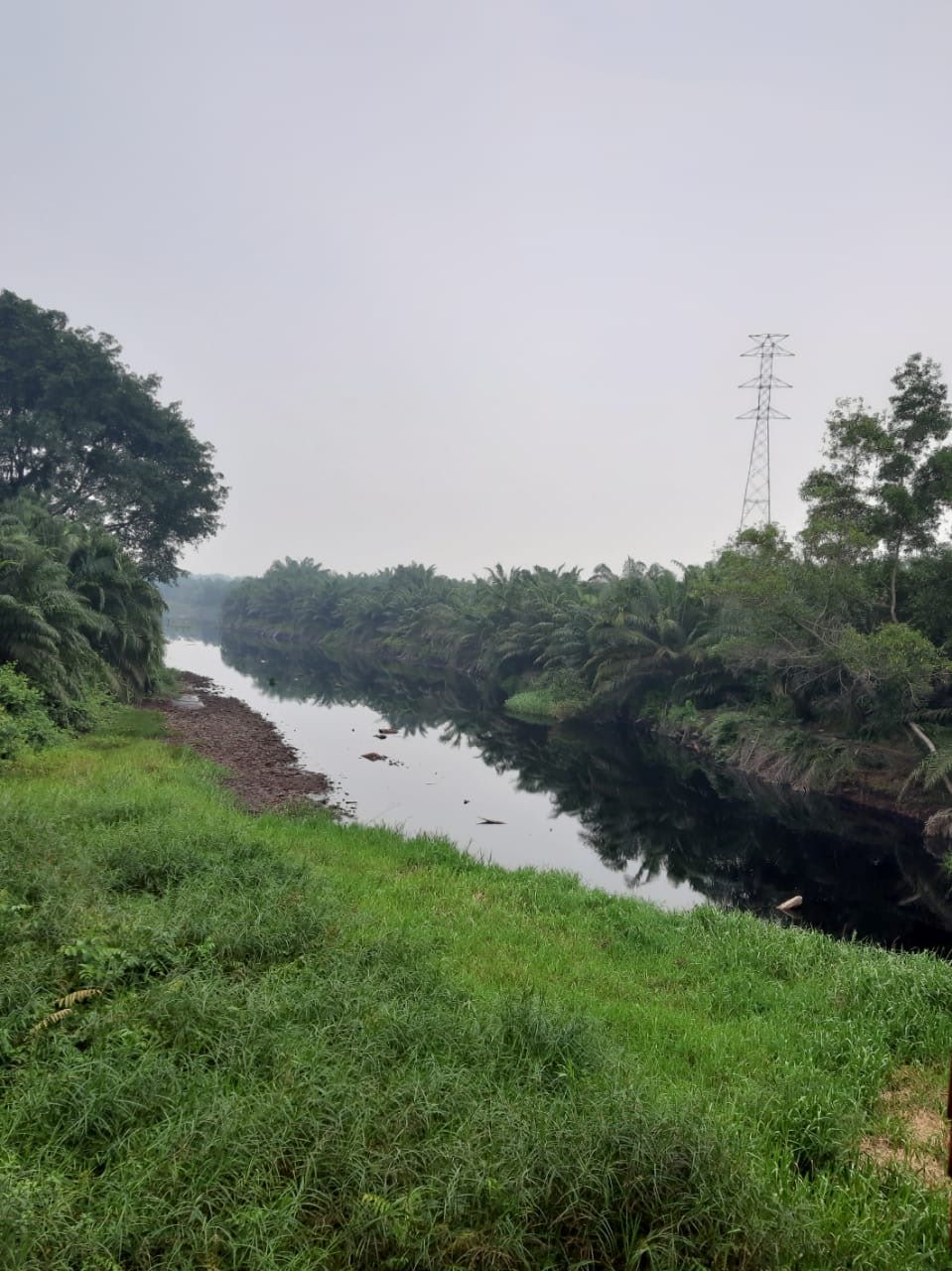 The local Masjid river that will be turned into a valuable source for the supply of drinking water for the city of Dumai.