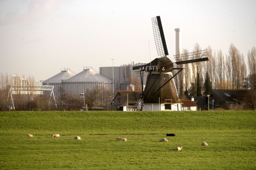A Dutch windmill on the outskirts of the treatment plant.