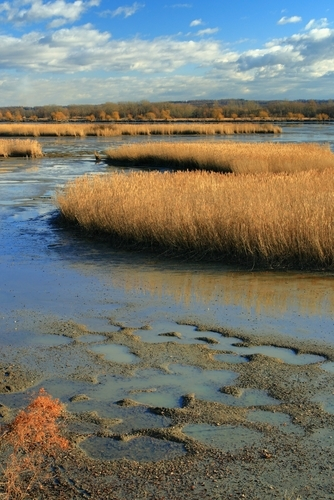 The NOAA Fisheries Fleet conduct marine research in coastal and inland waterways.