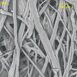 Figure 2. Top view of standard cellulose media, 260X.