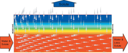 Figure 5: CFD simulation of a membrane filtration process illustrating the solute pathways in the device. (Courtesy of Vivendi).