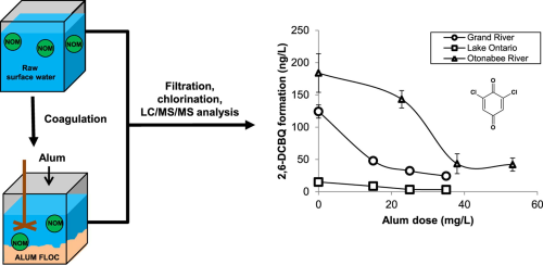 This Canadian study investigates a recently identified group of disinfection by-products, halo-benzoquinones, including formation and treatment in bench-scale coagulation of three source waters.