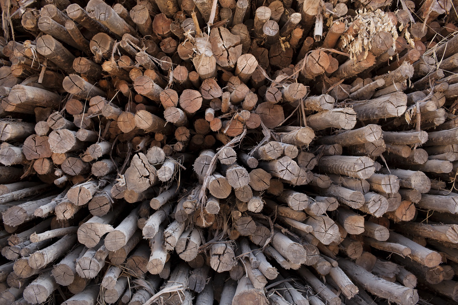 Veolia's technology will optimise the processing of wood-derived pulp used to make cellulose fibres.