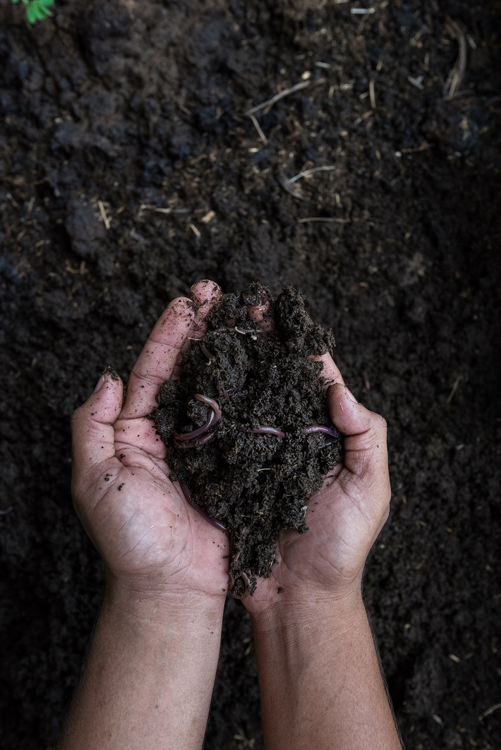 Sustainable wastewater treatment technologies are being designed to resemble the natural purification process made by earthworms, zooplankton, and microalgae and sunlight exposure.