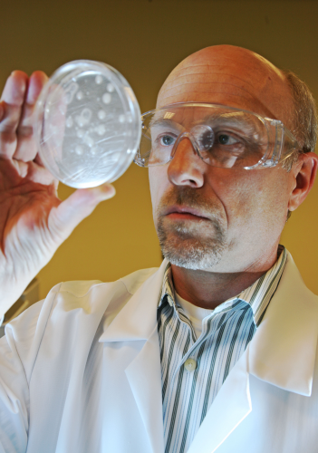 Antimicrobial testing in the US laboratories of BWA Water Additives.