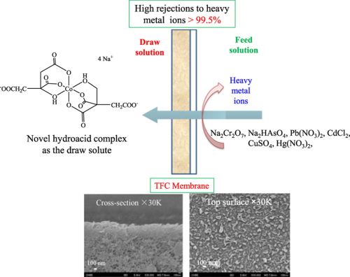 This novel forward osmosis (FO) process has great potential to remove heavy metal ions from wastewater, maintaining high rejections under high concentrations of heavy metal ions.