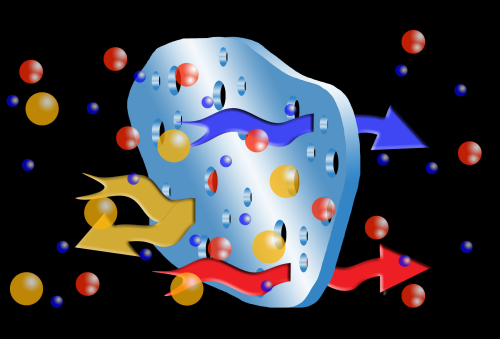 Semi-permeable membranes molecules.