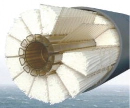 Figure 1. Hollow fibre module cut away to expose internal fibre bundle and structure.