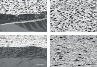 The new membrane can be made more or less porous ‘on demand’.