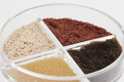 LANXESS is expanding its ion exchange resin facilities.