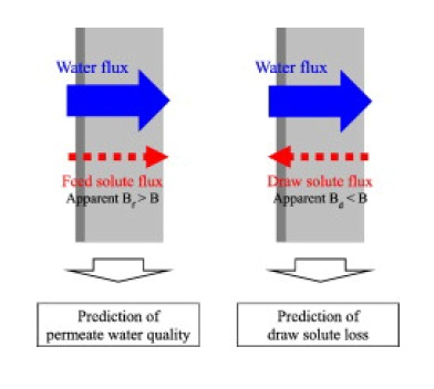 This novel method determines reverse draw and forward feed solute fluxes in a forward osmosis (FO) membrane, utilising apparent draw (Bd) and feed (Bf) solute permeabilities.