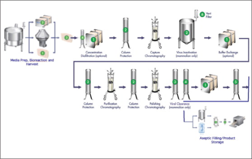 Figure 1. Traditional protein purification process.
