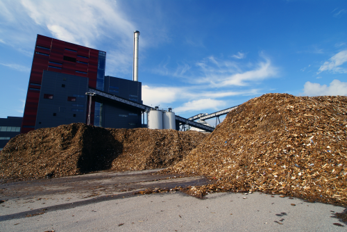 Biomass can be used as a solid fuel.