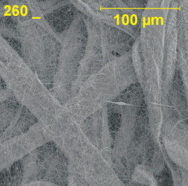 Figure 3. Top view of electrospun nanofibre coating 260X.
