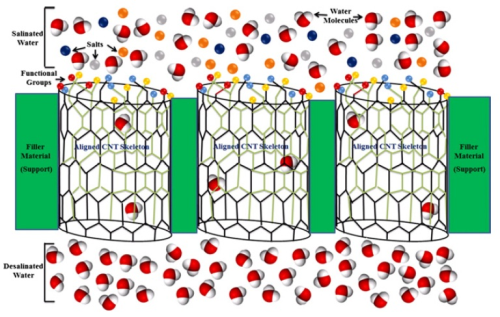 Robust carbon nanotube (CNT) membranes with antibacterial and antifouling properties are expected to remove most pollutants in next-generation water desalination.