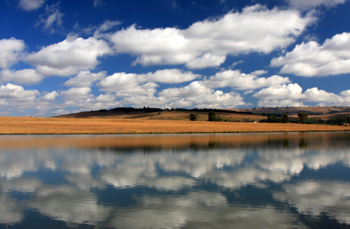 Changing weather patterns drive up water prices in South Africa.