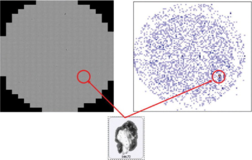 Composite image and X position versus Y position scattergram, which show the position of particles of interest on the filter.
