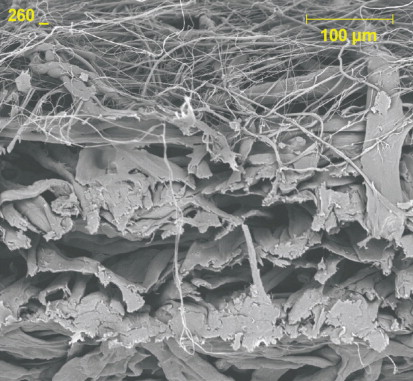 Figure 4. Side view of nanofibre coating, 260 X.