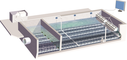 An illustration of Xylem's Sanitaire ICEAS system.