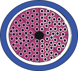 Figure 3. Diagrammatic radial cross section through the hollow fibre potting.