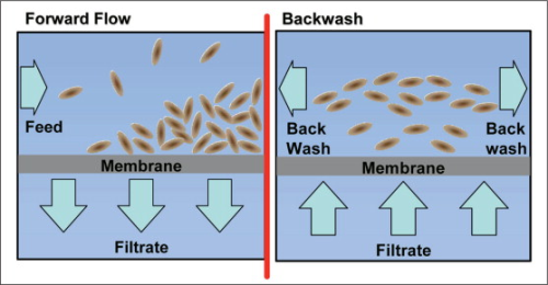 Figure 1: Directflow process schematic. (Courtesy of Membrane Technology Associates Ltd.)