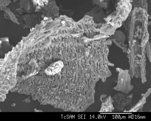 Fig 3:Comparison of MaxFlo RHA and Activated Carbon pore structure