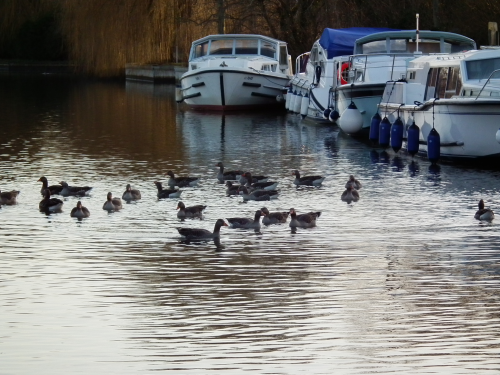 The Broads is Britain’s largest protected wetlands.