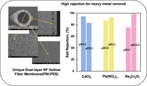 A high-performance dual-layer nanofiltration (NF) hollow fibre membrane, comprising polybenzimidazole (PBI) and polyethersulfone (PES), has been designed and characterised for effective removal of heavy metal ions from wastewater.